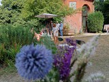 Sommerfest-ABG-09-08-2026_Foto-02