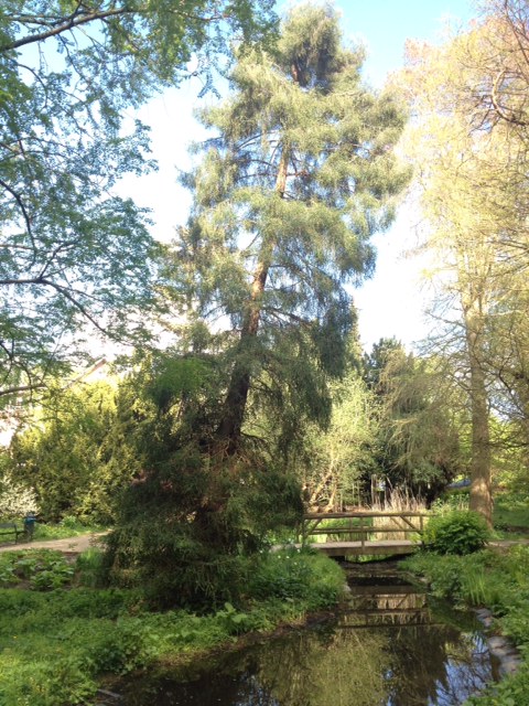 Alter Botanischer Garten Kiel Rundgang